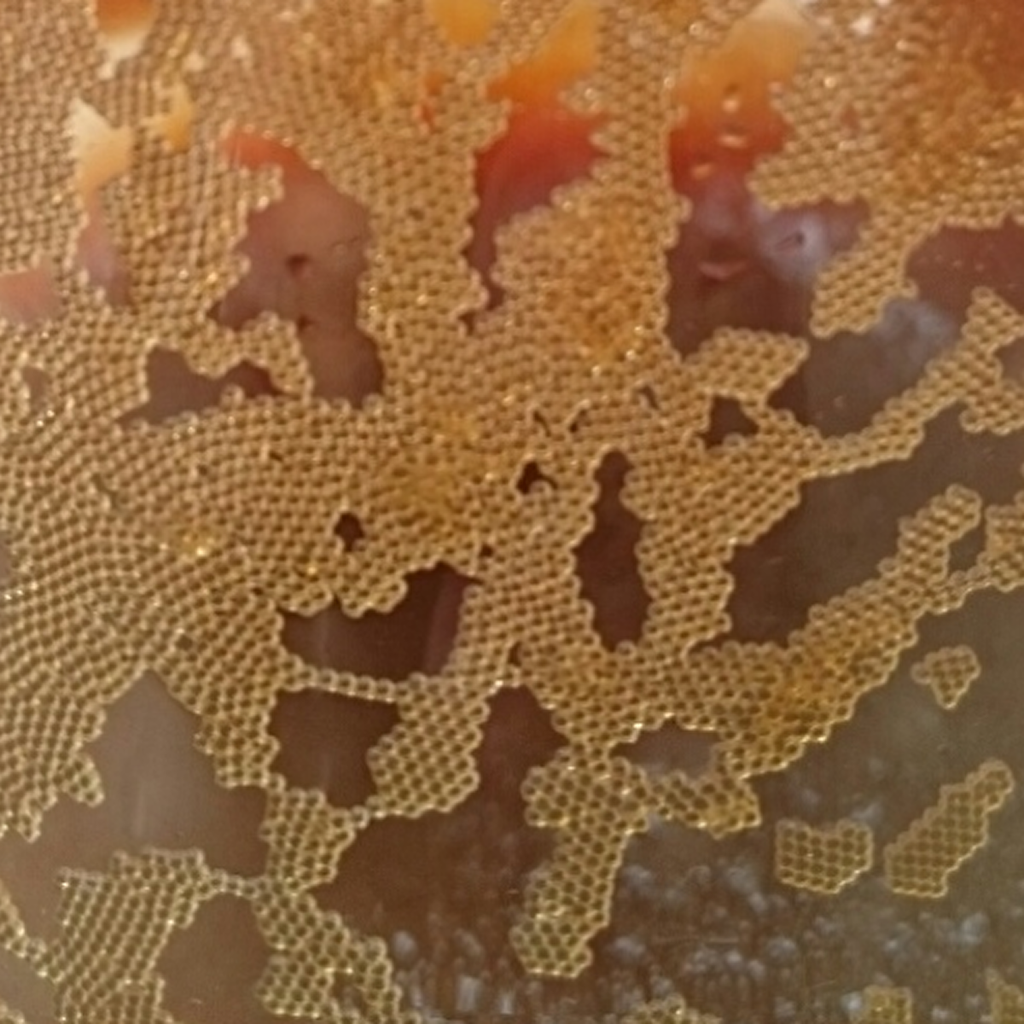 LEWATIT CNP 80 WS.png