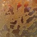 LEWATIT CNP 80 WS.png